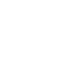 Whale Sightings Guaranteed
