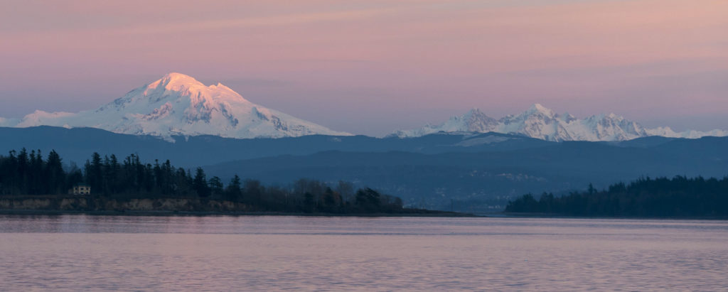 Bellingham Whale Watching