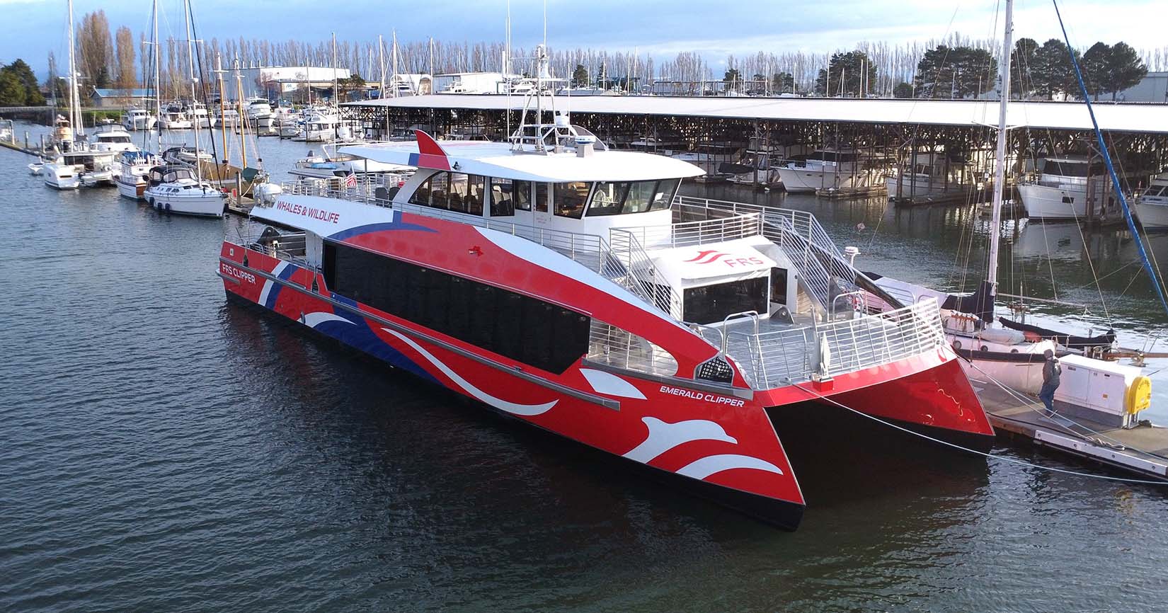 About The Emerald Clipper - FRS Clipper Whale Watching