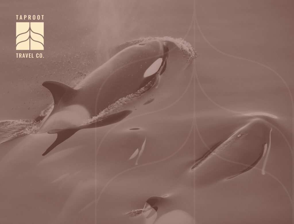 First Stories of the Salish Sea