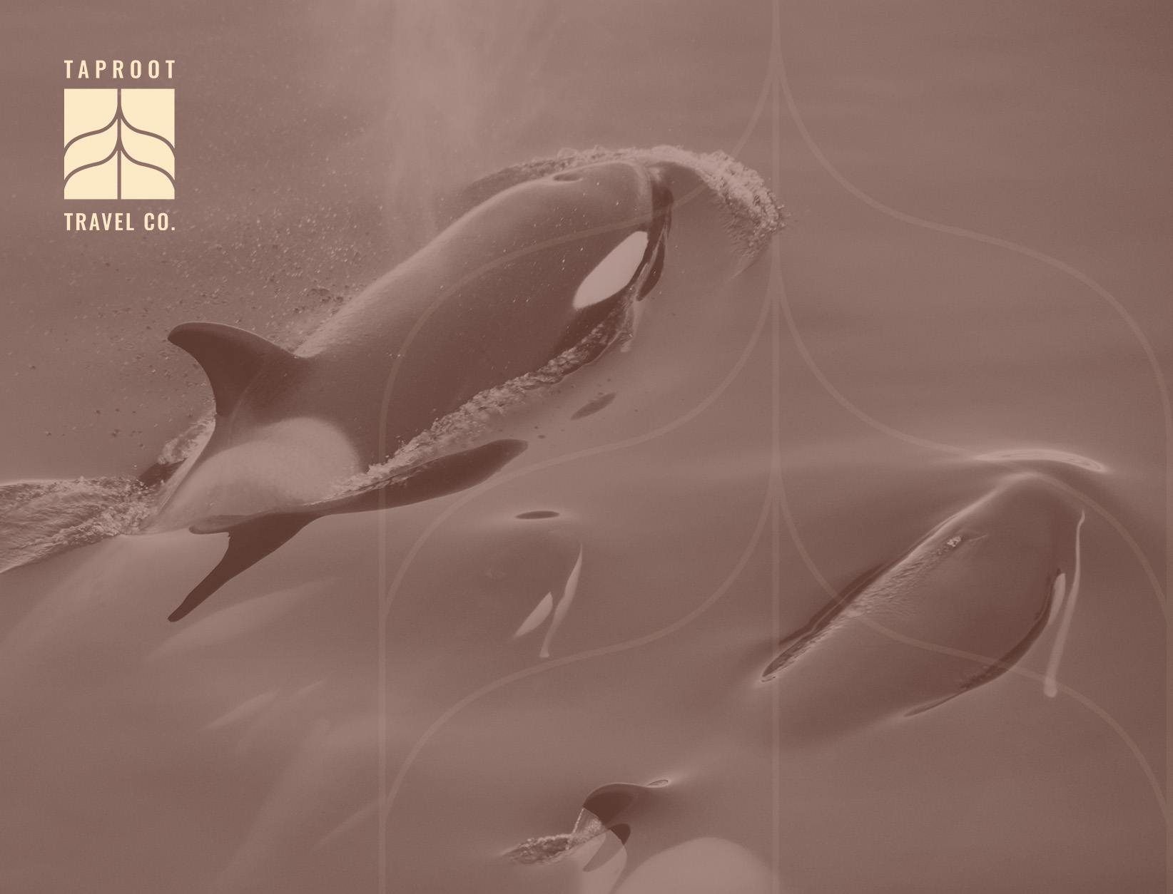 First Stories of the Salish Sea